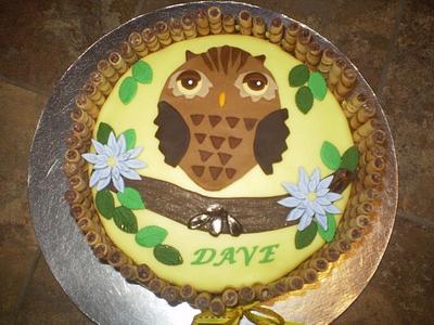 Owl Cake  - Cake by familycakesbyjackie