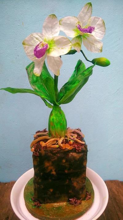 Orchid Pot Cake  - Cake by Daniel Guiriba