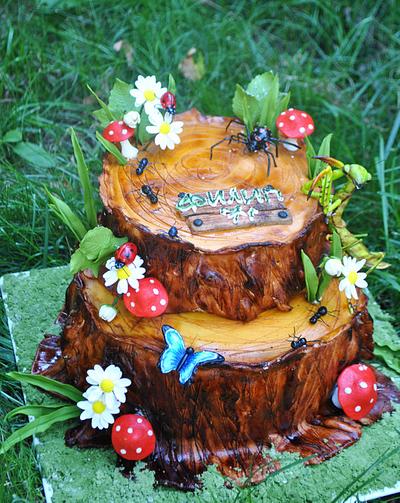 insect cake - Cake by daroof