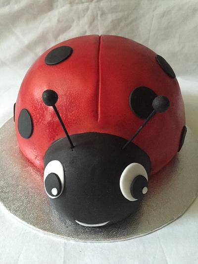 Ladybird Cake - Cake by Misssbond