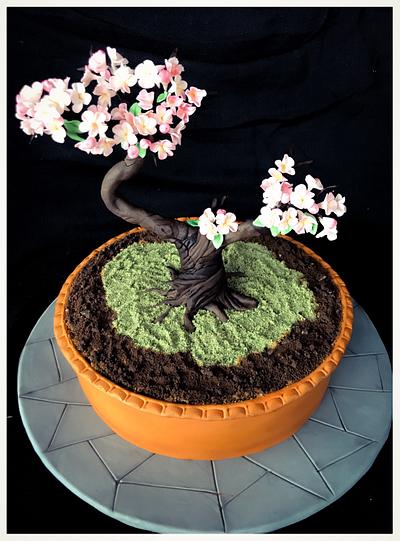 Bonsai - Cake by Homebaker