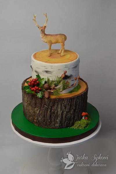 Hunter cake - Cake by JarkaSipkova