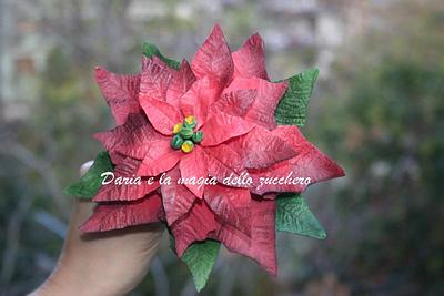 Red poinsettia - Cake by Daria Albanese