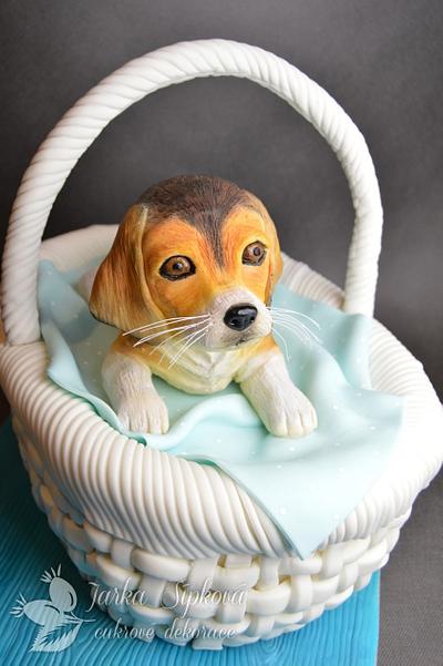 Dog in a Basket - Cake by JarkaSipkova