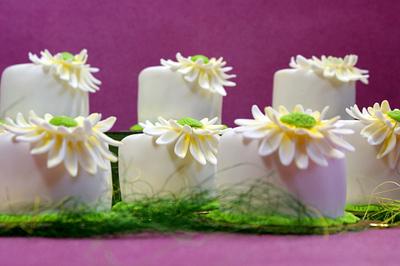 Mini cake - Cake by EvelynsCake