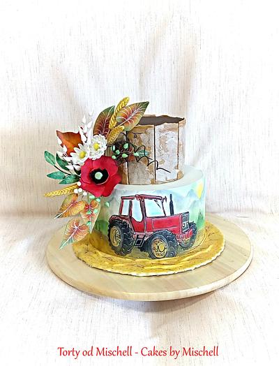 Hand painted tractor cake - Cake by Mischell