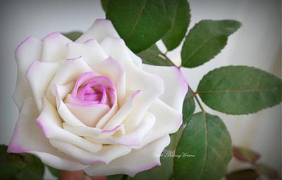 My Sugar Rose with real leaves in the background - Cake by Ashel sandeep