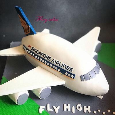 3d airplane cakey - Cake by Fling.jinalscorner