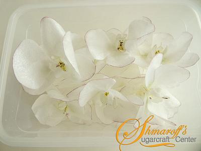 Wafer paper Orchids on the Box  - Cake by Petya Shmarova