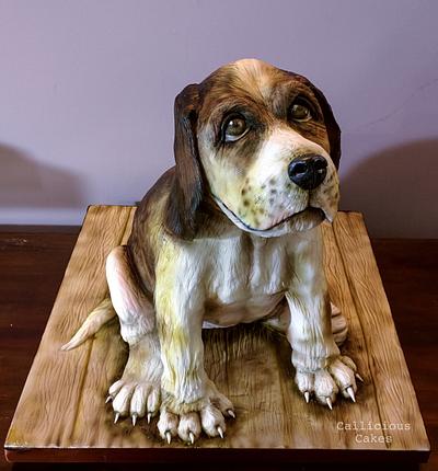 Beagle Dog Cake  - Cake by Calli Creations