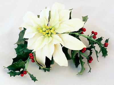 Poinsettia and Holly Christmas Arrangement - Cake by Kate