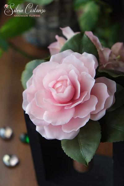 Pink Camellia - Cake by Silvia Costanzo