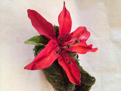 Red Lily. - Cake by DinaDiana