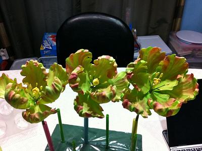 Gum paste parrot tulips - Cake by Tracy Farquhar 