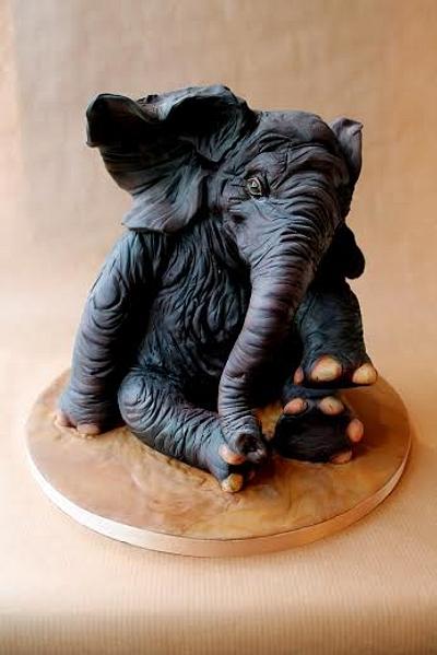 Elephant Cake - Cake by Novel-T Cakes