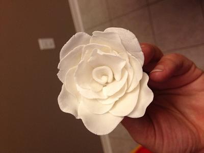 White rose - Cake by Jennifer Jeffrey