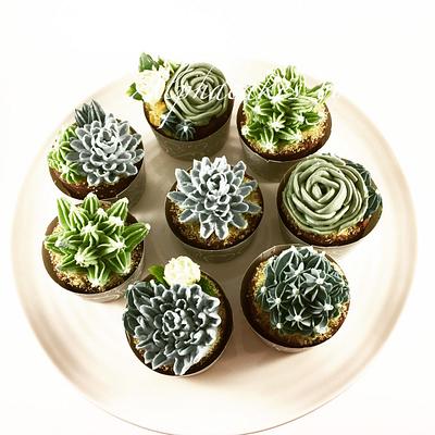 Succulent Cupcakes - Cake by AlphacakesbyLoan 