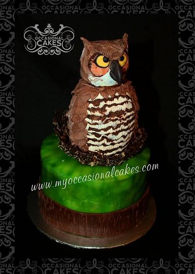 Owl Cake - Cake by Occasional Cakes