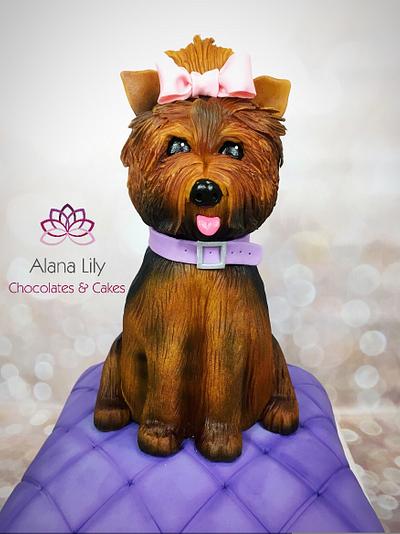 Birthday Dog Cake - Cake by Alana Lily Chocolates & Cakes