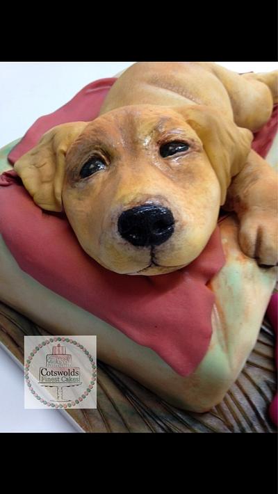 Golden retriever puppy - Cake by Aggy Dadan