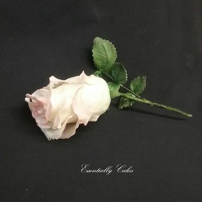 Single Rose - Cake by Essentially Cakes