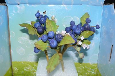 blue berries  - Cake by gail