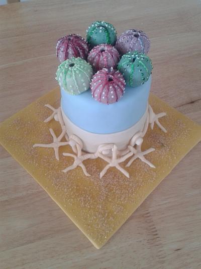 Sea urchin cake - Cake by Kathryn Clarke