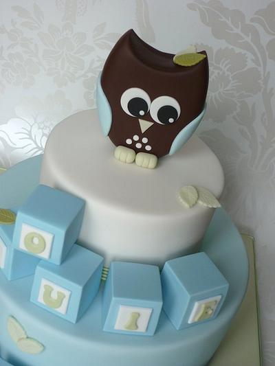 Owl Christening Cake - Cake by Isabelle Bambridge