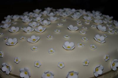 Passion fruit and white chocolate cake - Cake by Antonnia alexis