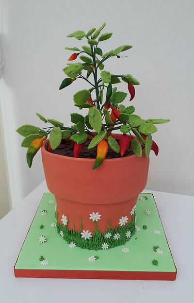 Chilli Plant - Cake by Jayne Worboys