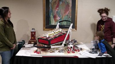 Yukon Quest Dogsled Race Banquet Cake - Cake by Bella Noche Cakes