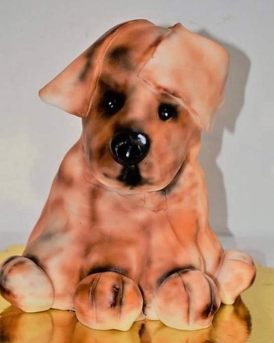 Dog cake  - Cake by divkaskolaci