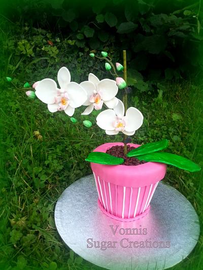 Phalaenopsis Orchid - Cake by Vonnis Sugar Creations