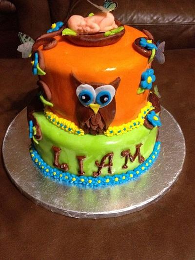 Owl Cake - Cake by beth78148