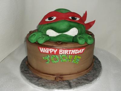 teenage mutant hero turtle  cake  - Cake by nikki scott