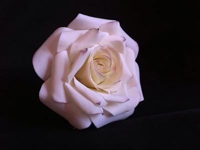 Sugar-Rose "Caroline de Monaco" - Cake by Siobhan Buckley