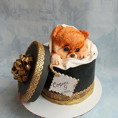Торт Собачка в коробке.  - Cake by Екатерина Андриянова 