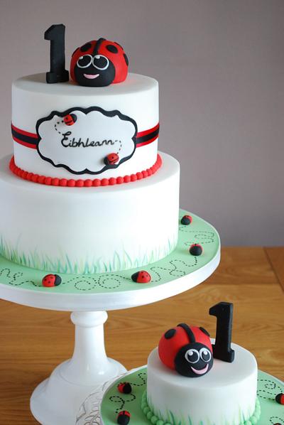 Ladybird birthday cake - Cake by Emma Stewart