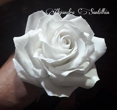 White Rose - Cake by Alejandra Santillán
