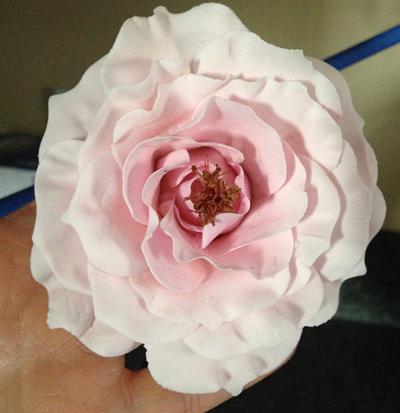 Gum paste Rose - Cake by Laura Willey