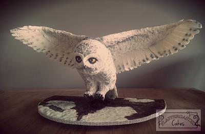 Landing owl  - Cake by Flappergasted Cakes