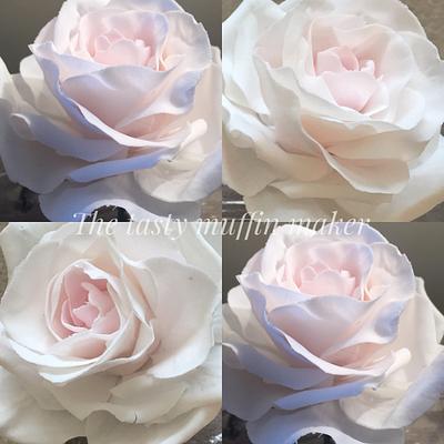 White 0’Hara rose  - Cake by Andrea 