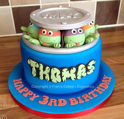 TMNT cake - Cake by Fran's Cakes & Cupcakes