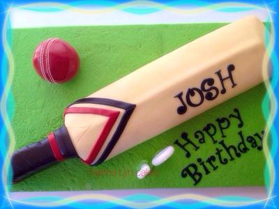Cricket bat and ball - Cake by Nanna Lyn Cakes