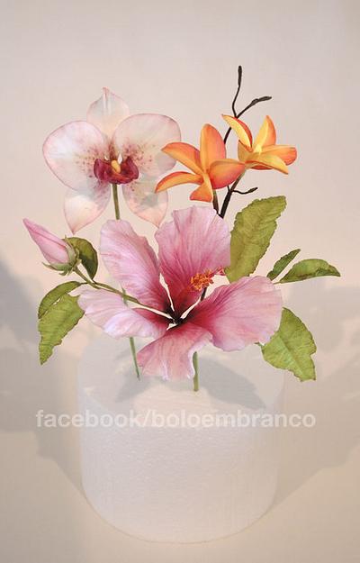 Tropical flowers - Hibiscus, Plumeria, Orchid - Cake by Bolo em Branco [by Margarida Duarte]
