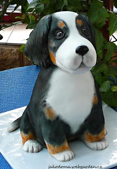Puppy - Cake by Jana