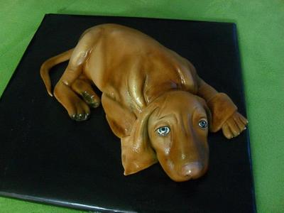 Dog - Cake by Andrea