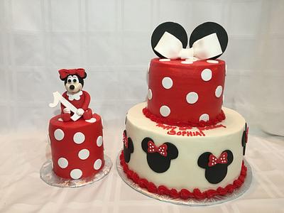 Minnie Mouse 1st Birthday - Cake by Brandy-The Icing & The Cake