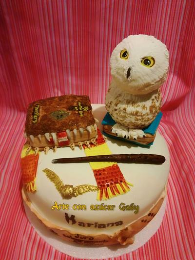 Harry Potter Cake  - Cake by gabyarteconazucar