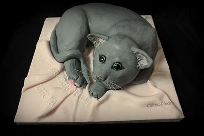 cat cake  - Cake by cakesofdesire
